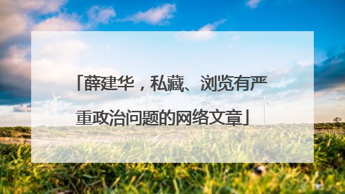 薛建华，私藏、浏览有严重政治问题的网络文章