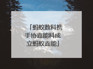 蚂蚁数科携手协鑫能科成立蚂蚁鑫能
