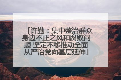 许勤：集中整治群众身边不正之风和腐败问题 坚定不移推动全面从严治党向基层延伸