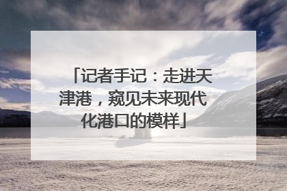 记者手记：走进天津港，窥见未来现代化港口的模样