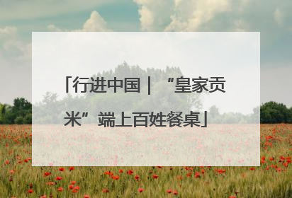 行进中国｜“皇家贡米”端上百姓餐桌