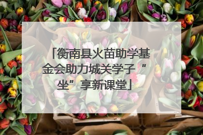 衡南县火苗助学基金会助力城关学子“坐”享新课堂
