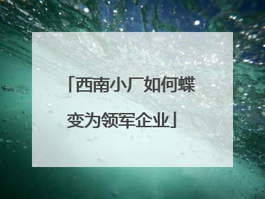 西南小厂如何蝶变为领军企业