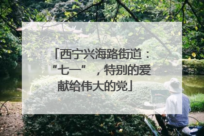 西宁兴海路街道：“七一”，特别的爱献给伟大的党