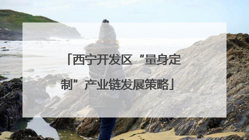 西宁开发区“量身定制”产业链发展策略