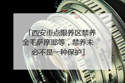 西安重点限养区禁养金毛萨摩耶等，禁养未必不是一种保护