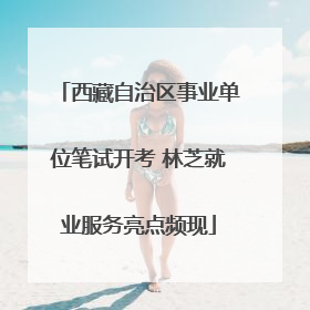 西藏自治区事业单位笔试开考 林芝就业服务亮点频现