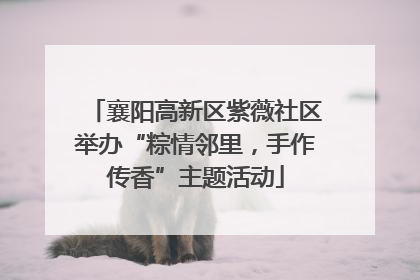 襄阳高新区紫薇社区举办“粽情邻里，手作传香”主题活动