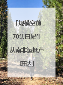 规模空前，70头白犀牛从南非运抵卢旺达