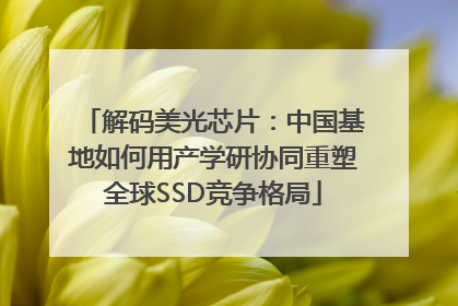 解码美光芯片：中国基地如何用产学研协同重塑全球SSD竞争格局
