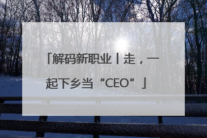 解码新职业丨走，一起下乡当“CEO”