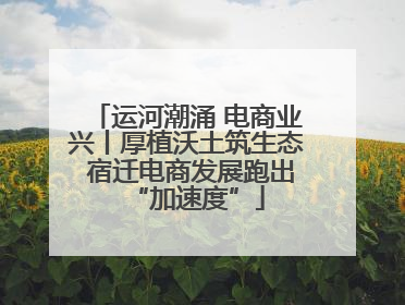 运河潮涌 电商业兴丨厚植沃土筑生态 宿迁电商发展跑出“加速度”