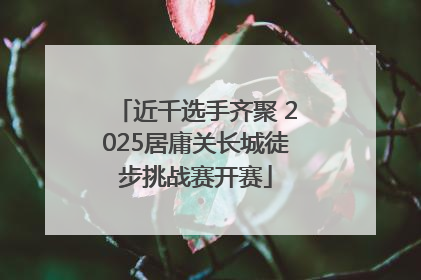 近千选手齐聚 2025居庸关长城徒步挑战赛开赛