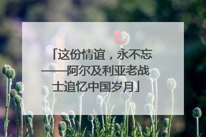 这份情谊，永不忘——阿尔及利亚老战士追忆中国岁月