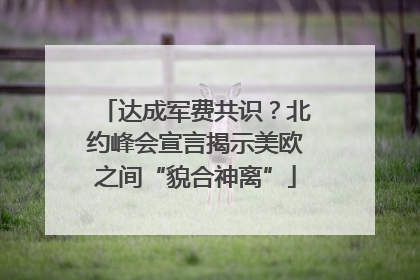 达成军费共识？北约峰会宣言揭示美欧之间“貌合神离”
