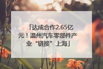 达成合作2.65亿元！温州汽车零部件产业“链接”上海