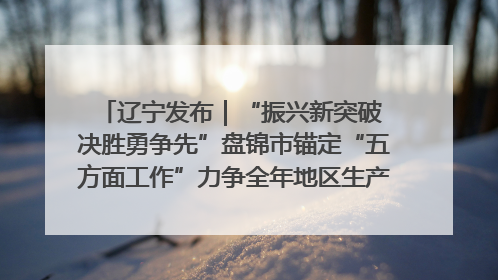辽宁发布｜“振兴新突破 决胜勇争先”盘锦市锚定“五方面工作”力争全年地区生产总值增长5.5%左右