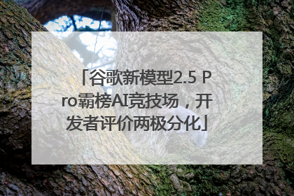 谷歌新模型2.5 Pro霸榜AI竞技场，开发者评价两极分化