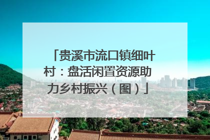贵溪市流口镇细叶村：盘活闲置资源助力乡村振兴（图）