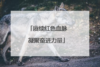 赓续红色血脉 凝聚奋进力量