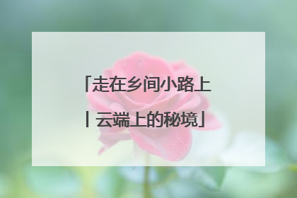 走在乡间小路上丨云端上的秘境