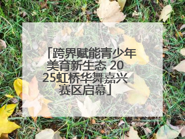跨界赋能青少年美育新生态 2025虹桥华舞嘉兴赛区启幕
