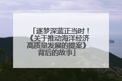 逐梦深蓝正当时！《关于推动海洋经济高质量发展的提案》背后的故事