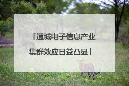 通城电子信息产业集群效应日益凸显