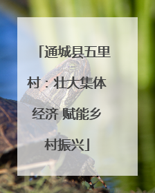 通城县五里村：壮大集体经济 赋能乡村振兴