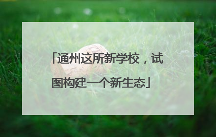 通州这所新学校，试图构建一个新生态
