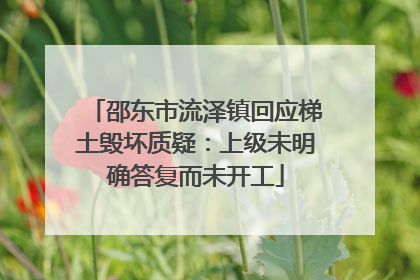 邵东市流泽镇回应梯土毁坏质疑：上级未明确答复而未开工