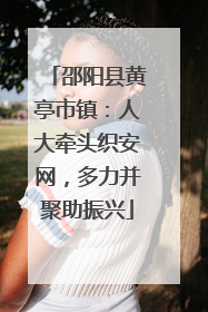 邵阳县黄亭市镇：人大牵头织安网，多力并聚助振兴