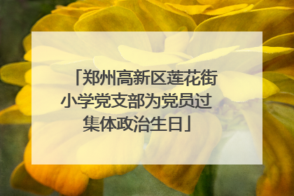 郑州高新区莲花街小学党支部为党员过集体政治生日