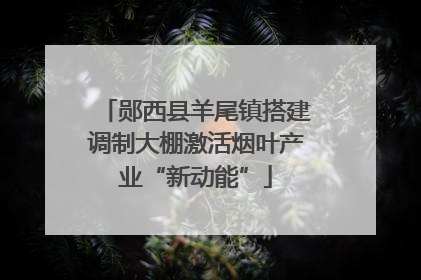 郧西县羊尾镇搭建调制大棚激活烟叶产业“新动能”