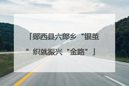 郧西县六郎乡“银茧”织就振兴“金路”