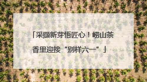 采撷新芽悟匠心！崂山茶香里迎接“别样六一”
