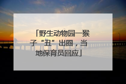 野生动物园一猴子“丑”出圈，当地保育员回应