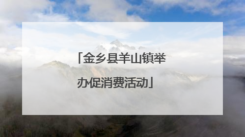 金乡县羊山镇举办促消费活动