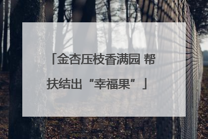金杏压枝香满园 帮扶结出“幸福果”