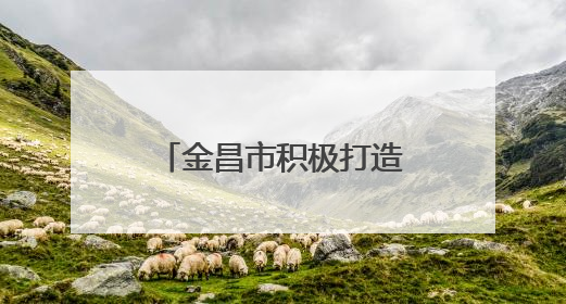 金昌市积极打造儿童友好城市