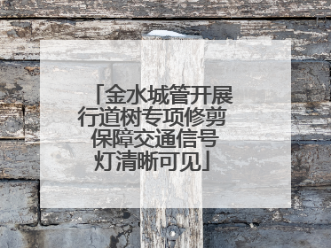 金水城管开展行道树专项修剪 保障交通信号灯清晰可见