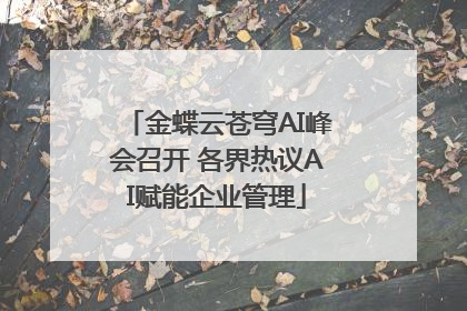 金蝶云苍穹AI峰会召开 各界热议AI赋能企业管理
