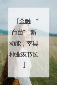 金融 “育苗” 新动能，莘县种业拔节长
