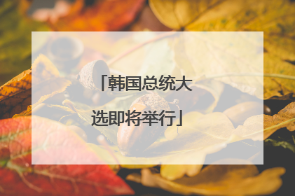 韩国总统大选即将举行
