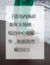 青岛西海岸新区大场镇：综治中心强服务，和谐港湾暖民心