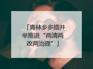 青林乡多措并举推进“两清两改两治理”