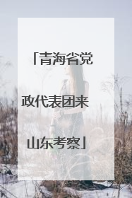 青海省党政代表团来山东考察
