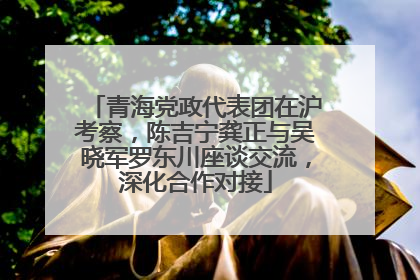 青海党政代表团在沪考察，陈吉宁龚正与吴晓军罗东川座谈交流，深化合作对接