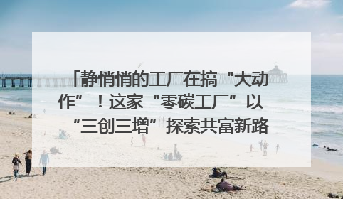 静悄悄的工厂在搞“大动作”！这家“零碳工厂”以“三创三增”探索共富新路径｜网络名人四川行