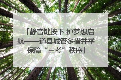 静音键按下 护梦想启航——道县城管多措并举保障“三考”秩序